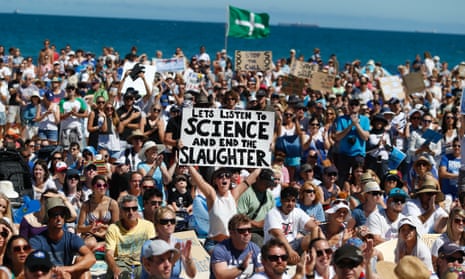 Protesters shark cull Perth 