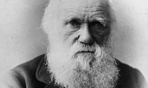 Did Darwin Introduce Natural Selection Did Darwin Introduce Natural Selection