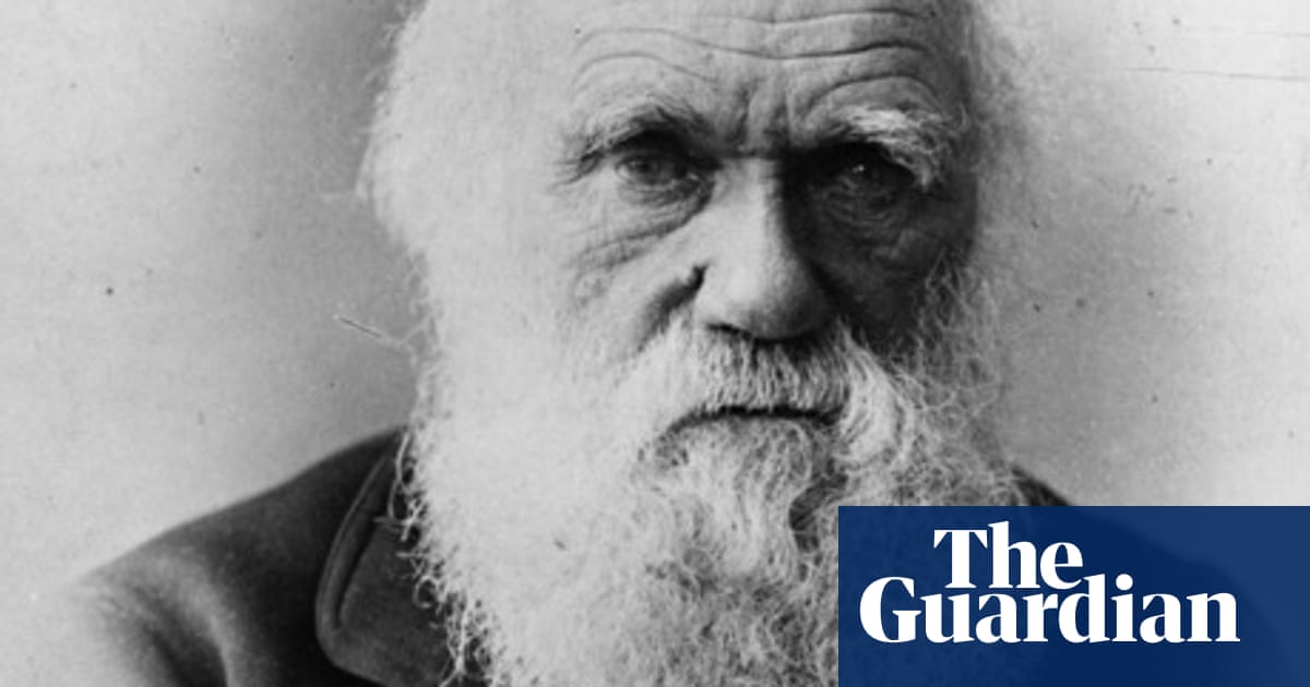How To Teach Darwin And The Theory Of Evolution Teacher Network The Guardian