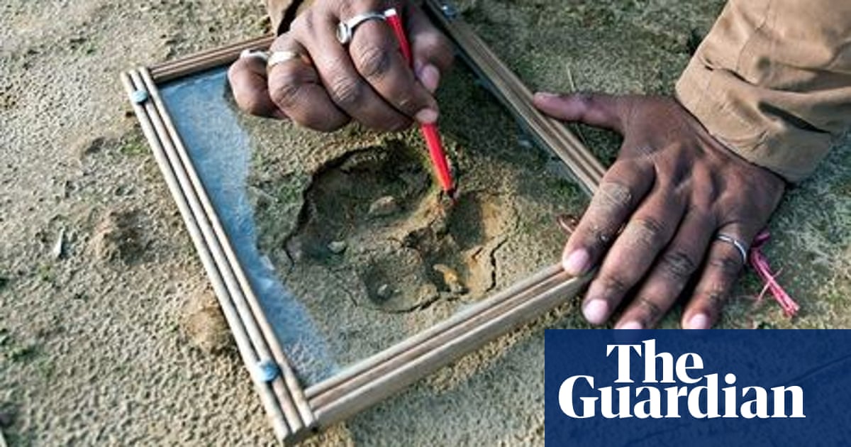 India grapples with wildlife-human conflict | India | The Guardian