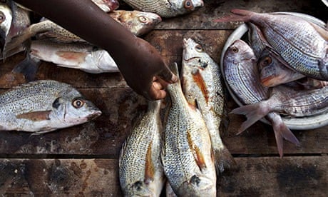 Fish sale Senegal