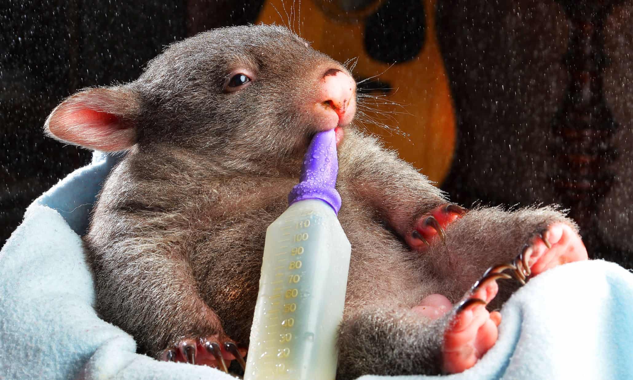 Photo highlights of the day