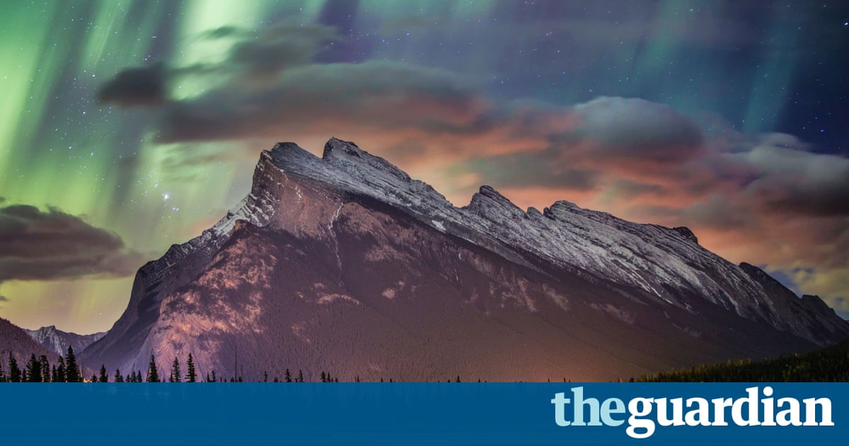 Photo highlights of the day | News | The Guardian