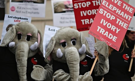 Anti-ivory trade demonstartion, London 13 February