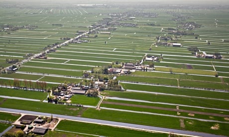 Netherlands, Kamerik, Farms in polder. Aerial