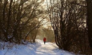 A winter walk alone