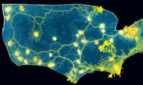 Slime mould maps the US road network