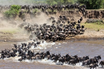 Annual great migration at the Serengeti.