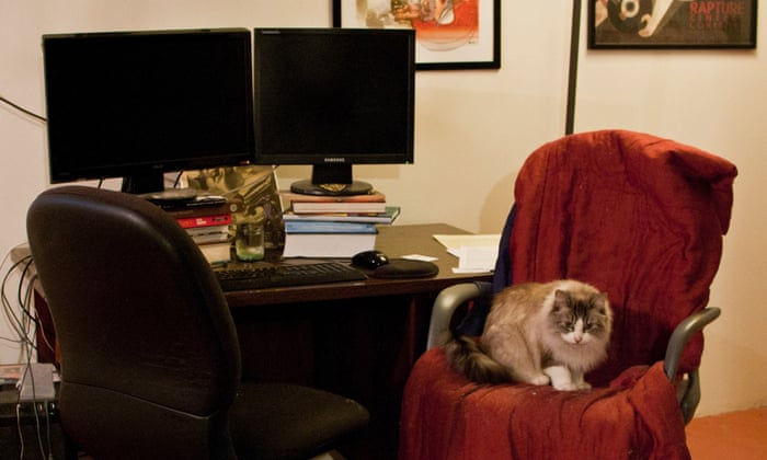 Feline Good Why Video Game Developers Love Cats Games The Guardian