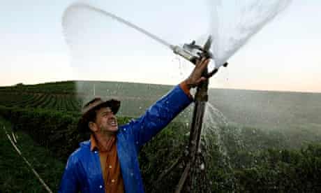 Worst Drought In Decades Hits Brazil Coffee Belt As Buyers Brace For Price Rise Brazil The Guardian Worst Drought In Decades Hits Brazil Coffee Belt As Buyers Brace For Price Rise Brazil The Guardian