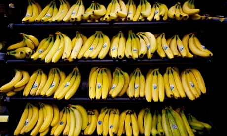 Bananas at Tesco