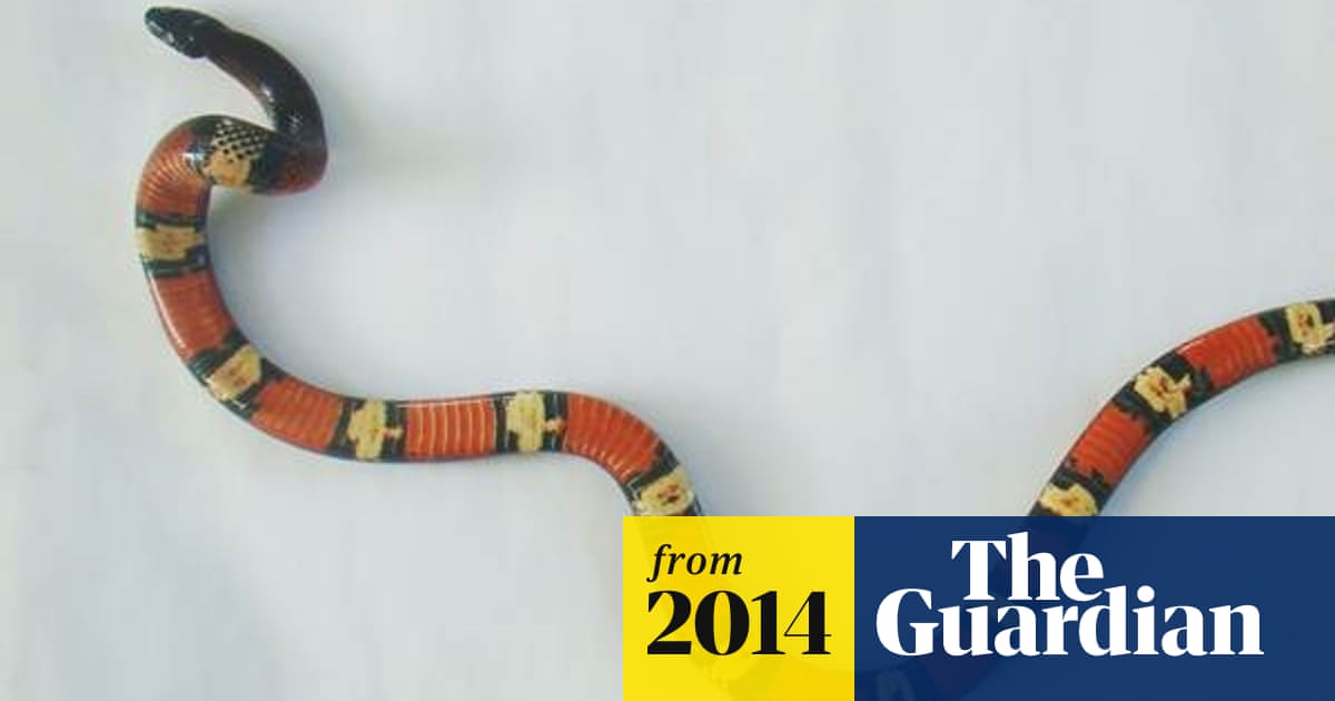 Introduced snake found in Galapagos highlands