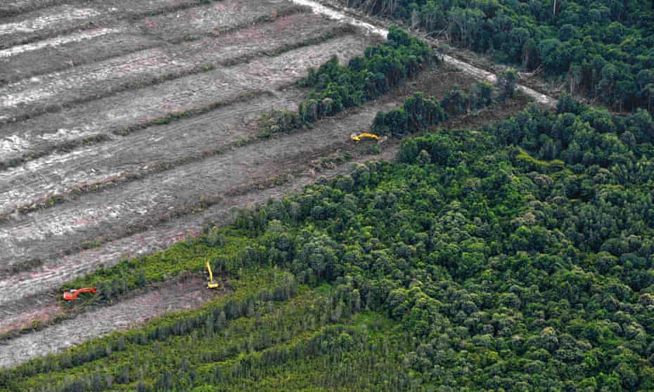 Greenpeace image of deforestation on Borneo