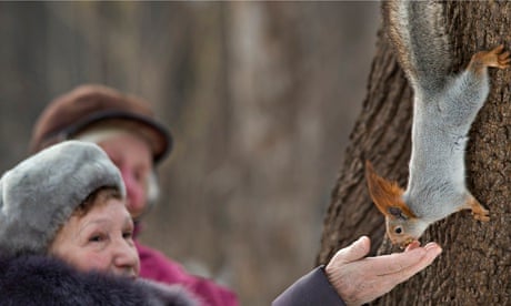 russian squirrel poachers on sarn