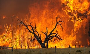 Image result for Black Saturday bushfires