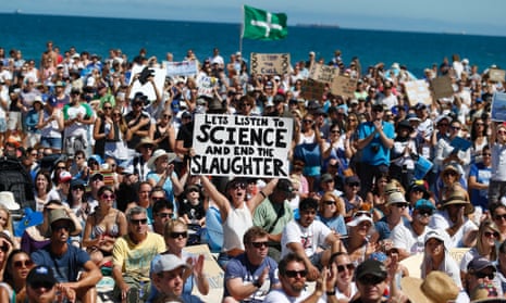 Protesters gather to rally against Western Australia's shark culling policy at Cottesloe Beach in Perth.