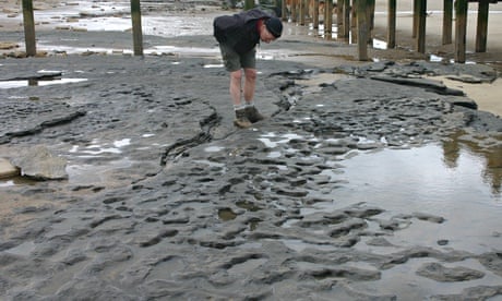 850 000 year old Human Footprints Found In Norfolk Archaeology The 850-000-year-old-human-footprints-found-in-norfolk-archaeology-the