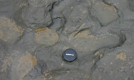 The size of the Happisburgh footprints compared to a camera lens cap