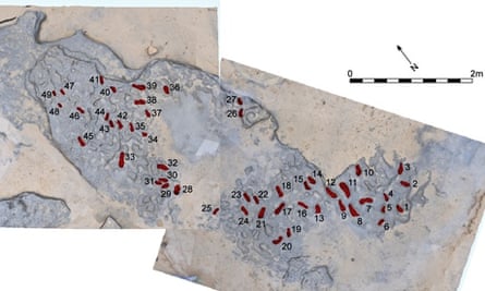 850 000 year old Human Footprints Found In Norfolk Archaeology The 850-000-year-old-human-footprints-found-in-norfolk-archaeology-the