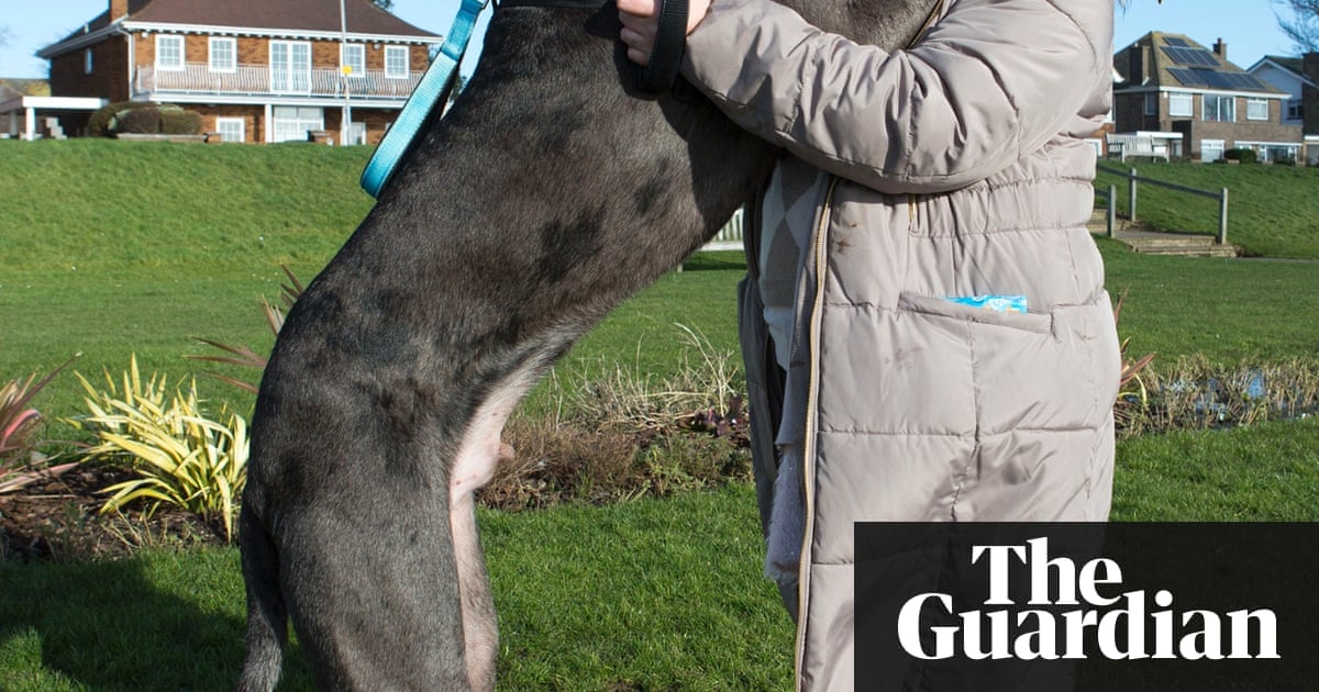 Freddy Britain S Biggest Dog In Pictures Life And Style