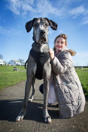Resultado de imagen para freddy tallest dog