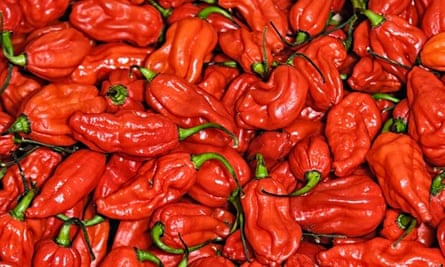 How much chilli can you handle?