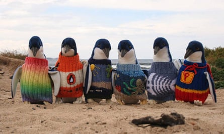 Penguin sweaters