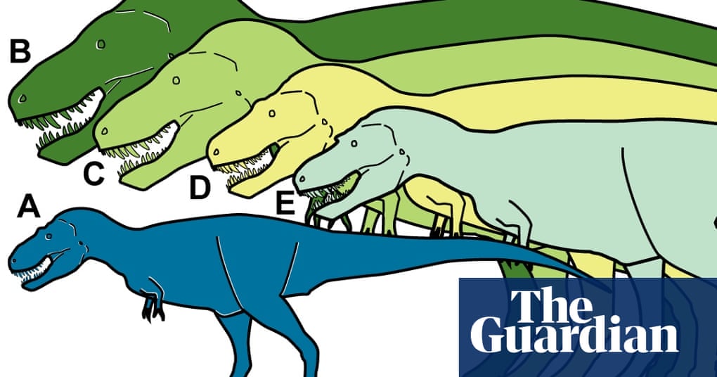 New Dwarf Dinosaur From Alaska Bucks Evolutionary Pattern Dinosaurs The Guardian New Dwarf Dinosaur From Alaska Bucks Evolutionary Pattern Dinosaurs The Guardian