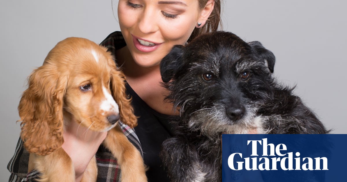 uk celebrities and their dogs celebrities and their dogs portrait auction in pictures uk celebrities and their dogs celebrities and their dogs portrait auction in pictures
