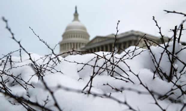 Several inches of fresh snow cover shrubbery at the U.S. Capitol in Washington March 17, 2014. A winter storm landed a final punch on the U.S. mid-Atlantic states on Monday just days before spring begins, dumping more than a foot of snow in some places, shutting schools and federal offices and cancelling flights. The winter storm shut down federal offices in the nation's capital, and dozens of schools in the area also remained closed.