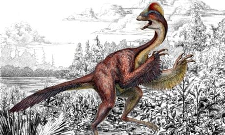 Dinosaur Dubbed 'Chicken From Hell' Was Armed And Dangerous | Dinosaurs |  The Guardian