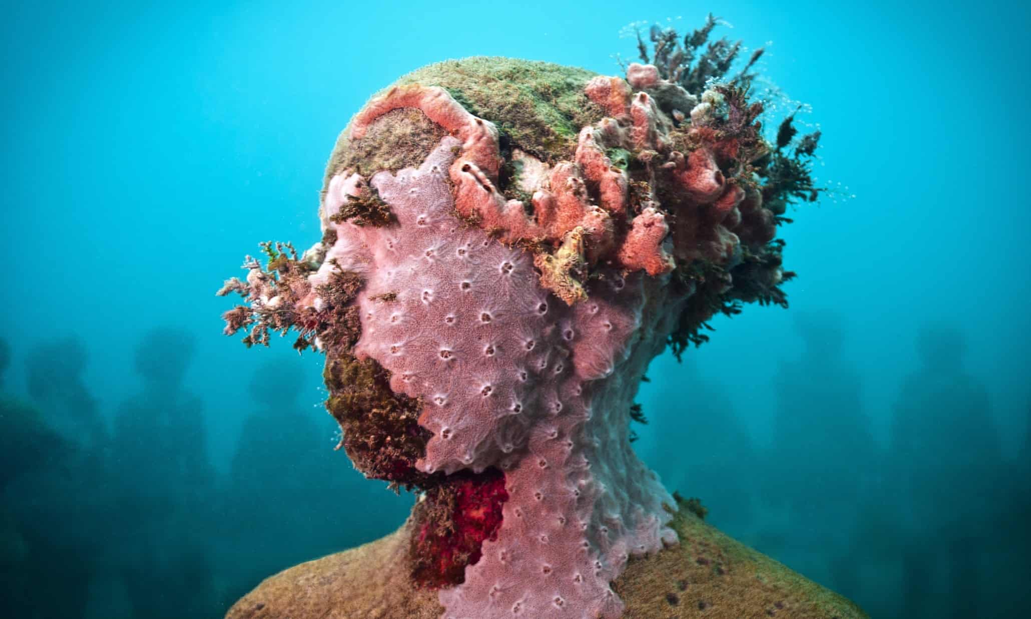 The world's first underwater museum – in pictures