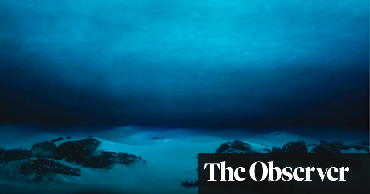 Marine mining: Underwater gold rush sparks fears of ocean catastrophe