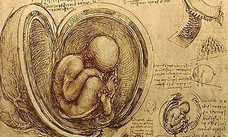 Study of fetus by Leonardo da Vinci