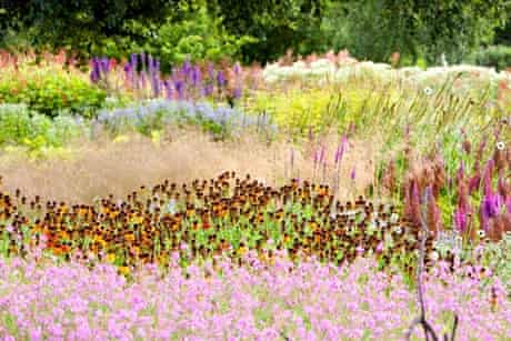 The Millenium Garden at Pensthorpe nature reserve, Norfolk, UK, was designed by Piet Oudolf,