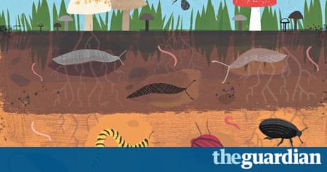 Gardens: soil | Life and style | The Guardian