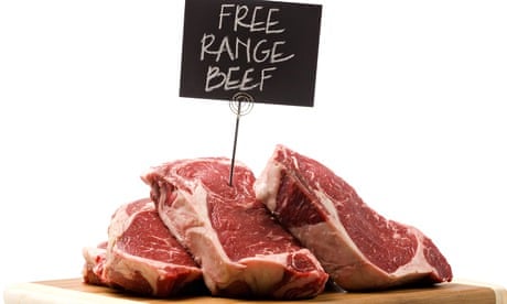 free range beef