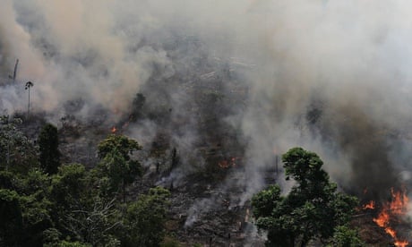  The Amazon rainforest is burnt to clear land for agriculture near Novo Progresso