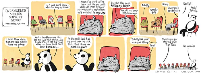 Stephen Collins on endangered species – cartoon | Life and style | The  Guardian