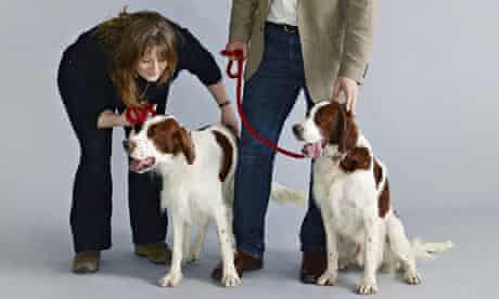 Dog Days Britain S Endangered Breeds Dogs The Guardian