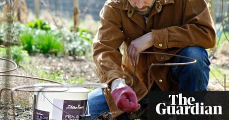 Gardens: the April checklist | Dan Pearson | Life and style | The Guardian Gardens: the April checklist | Dan Pearson | Life and style | The Guardian on Dan Pearson Garden
 id=36965