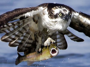 Photo highlights of the day News The Guardian Photo highlights of the day News The Guardian