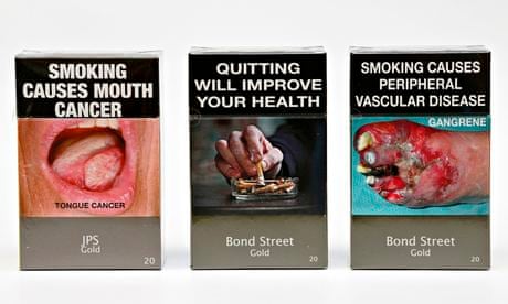 is rabbit tobacco bad for you Rabbit Tobacco: a Very Unhealthy Habit is rabbit tobacco bad for you Rabbit Tobacco: a Very Unhealthy Habit
