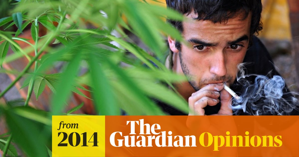 Cannabis Really Can Trigger Paranoia | Daniel Freeman And Jason Freeman |  The Guardian