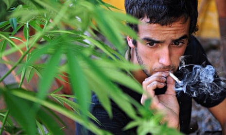 can tobacco make you hallucinate Cannabis really can trigger paranoia | Daniel Freeman and Jason Freeman can tobacco make you hallucinate Cannabis really can trigger paranoia | Daniel Freeman and Jason Freeman