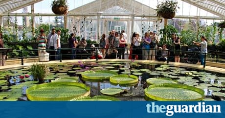 kew cut q weather to drew numbers Sunny record outdoor UK's tourist kew cut q weather to drew numbers Sunny record outdoor UK's tourist