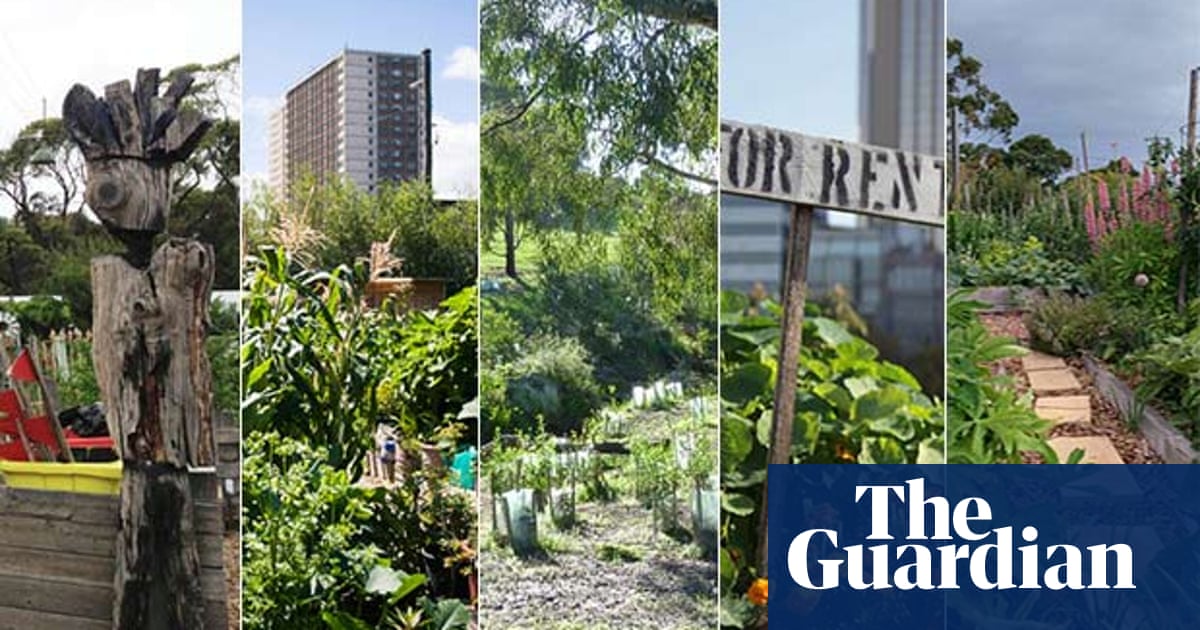 Community Gardens In Melbourne Five Of The Best Culture The