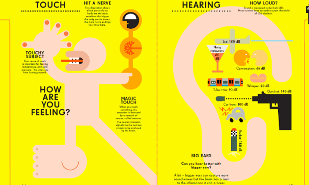 Senses infographic. Illustration by Peter Grundy