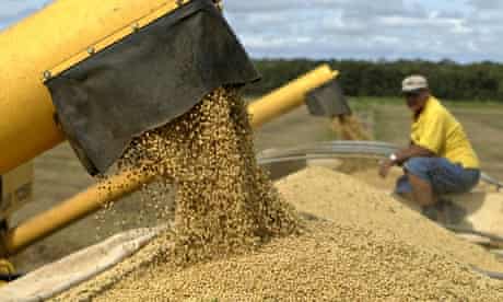 Brazil farmer loads trucks with soybeans 