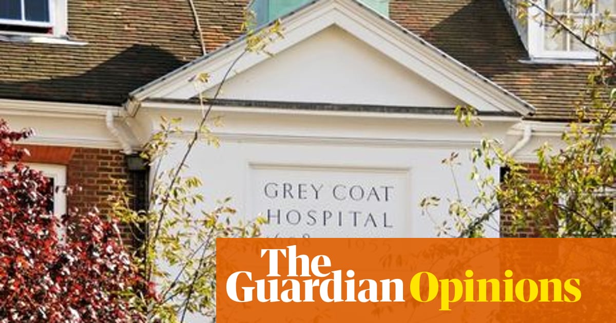 normschools-are-a-thing-now-where-is-my-nearest-grey-coat-hospital-opinion-the-guardian